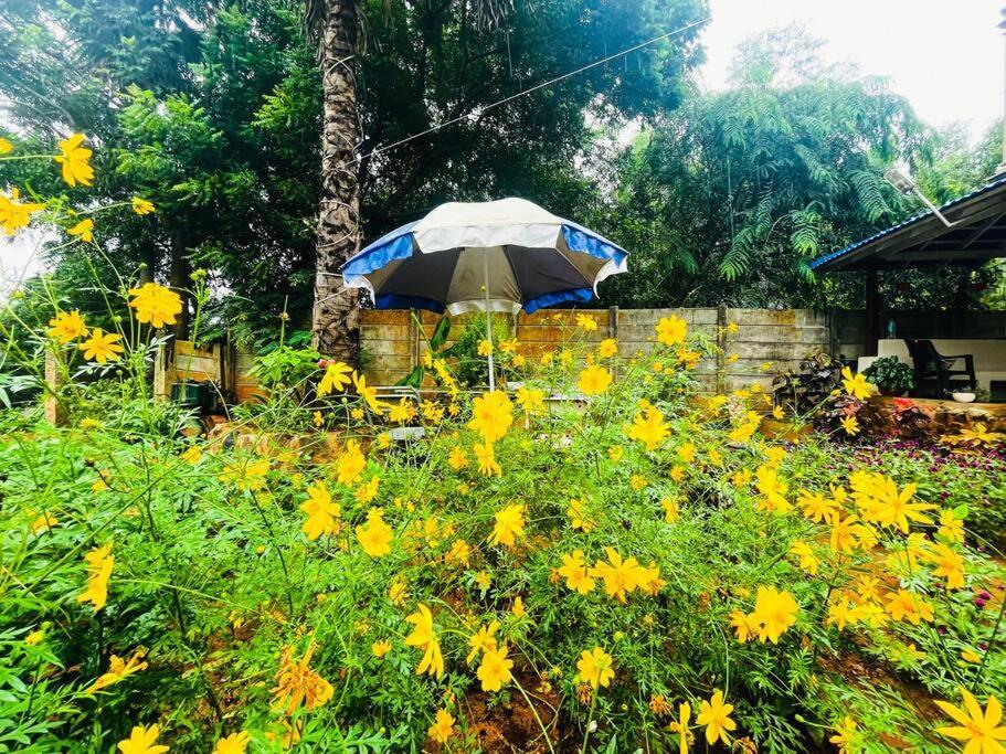 Luxury Villa Siena With Private Pool! 퐁디셰리 외부 사진